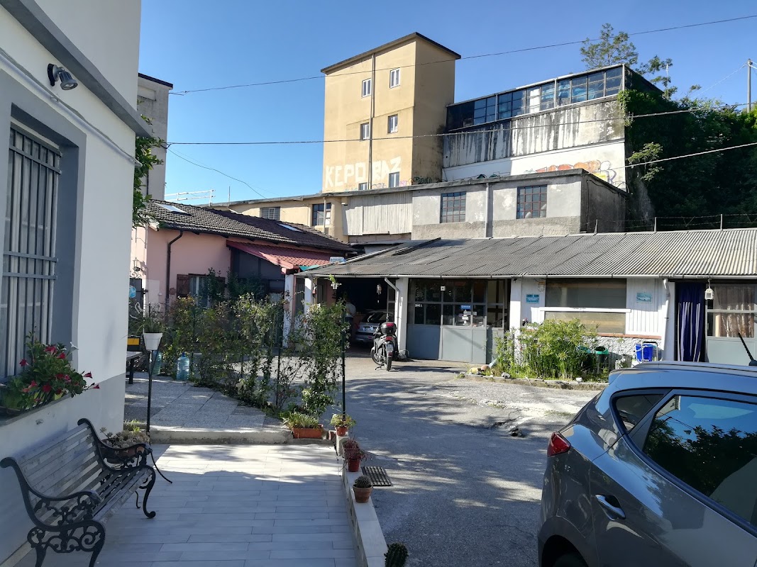 In zona: I Colori di Mag