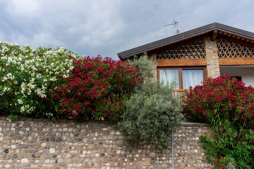 B&B Borgo Margherita — Alloggio a Udine, Udine