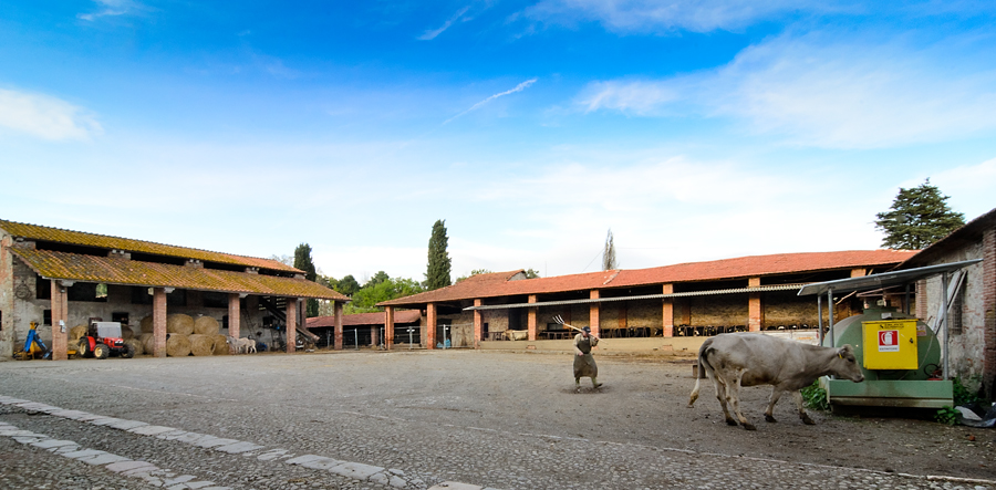 Agriturismo Fattoria Bigongiari — Alloggio a Lucca, Lucca