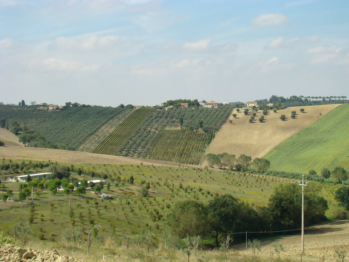 Fattoria Didattica l'Arcobaleno — Alloggio a Macerata, Macerata