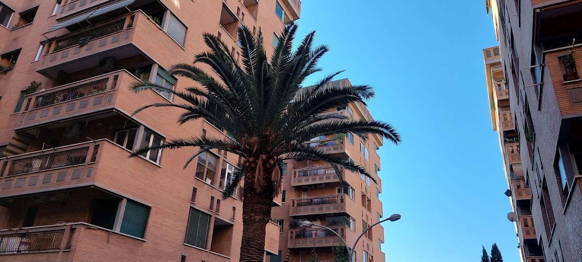 Bed and Breakfast ROMA DORME — Alloggio a Roma, Roma