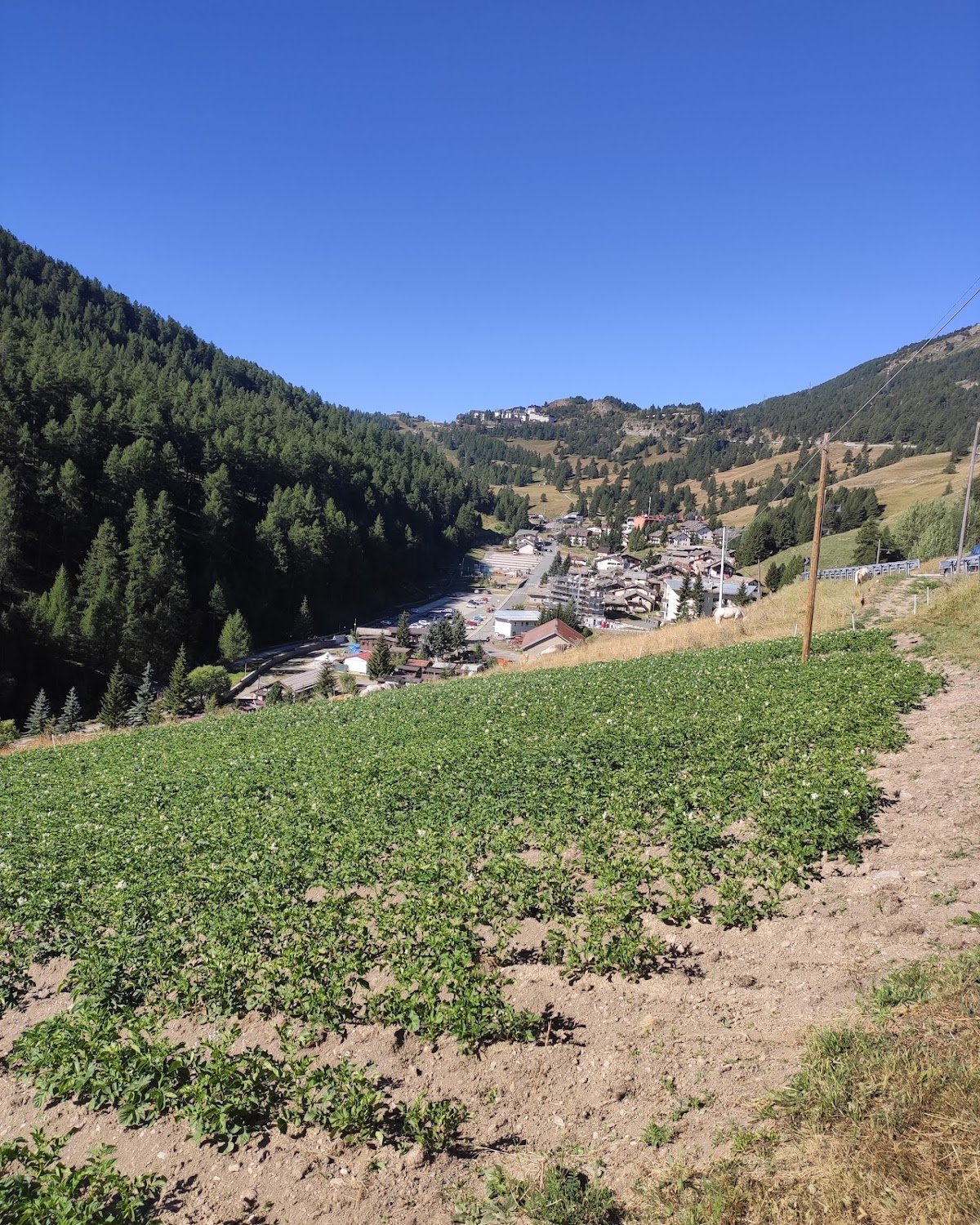 Az. Agricola Agri Sestriere — Alloggio a Sestriere, Torino