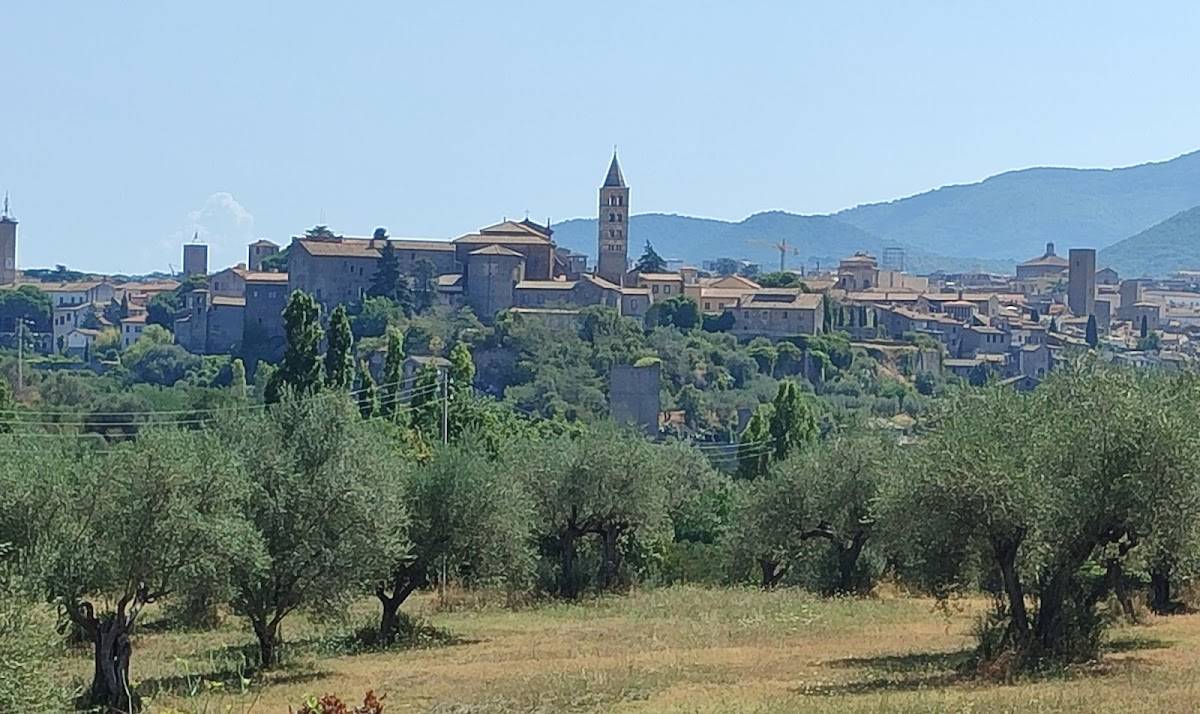 La Fattoria Barbini Azienda Agricola Biologica B&B — Alloggio a Viterbo, Viterbo
