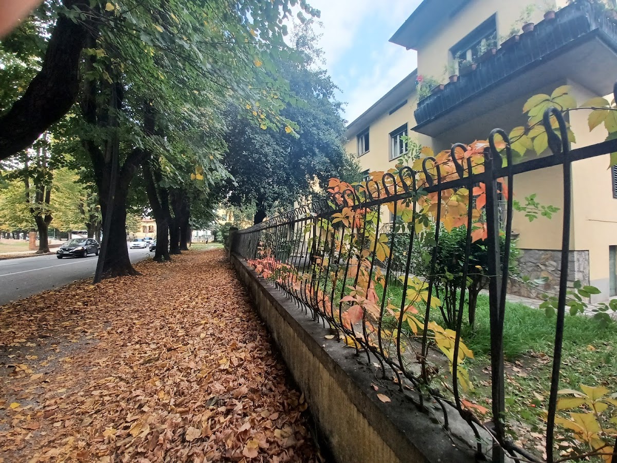 Home Sweet Home 3 - Lucca — Alloggio a Lucca, Lucca