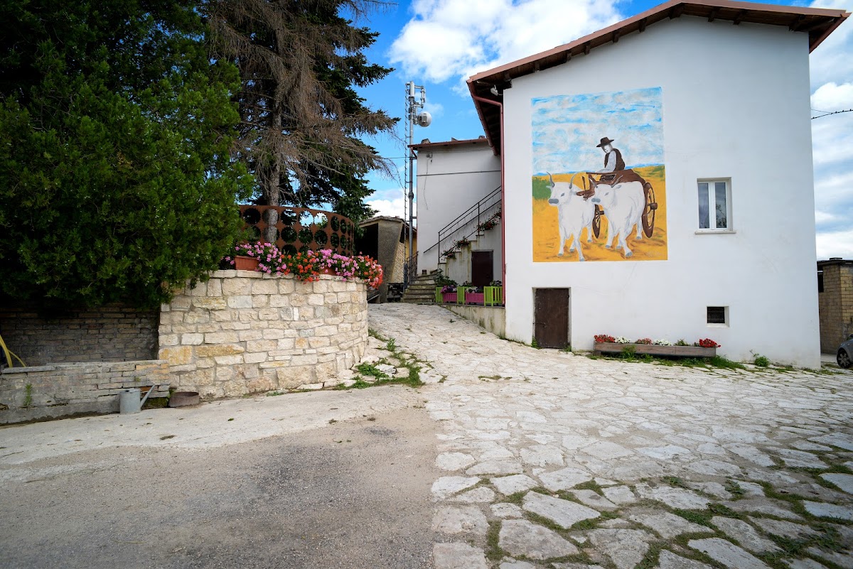 Fattoria La Cona — Alloggio a Ascoli Piceno, Ascoli Piceno