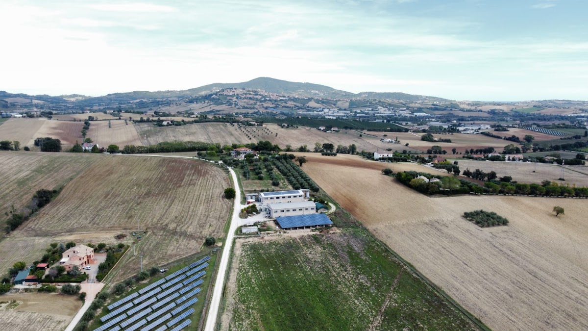 Agriturismo Oasi delle Oche Azienda Agricola — Alloggio a Ancona, Ancona