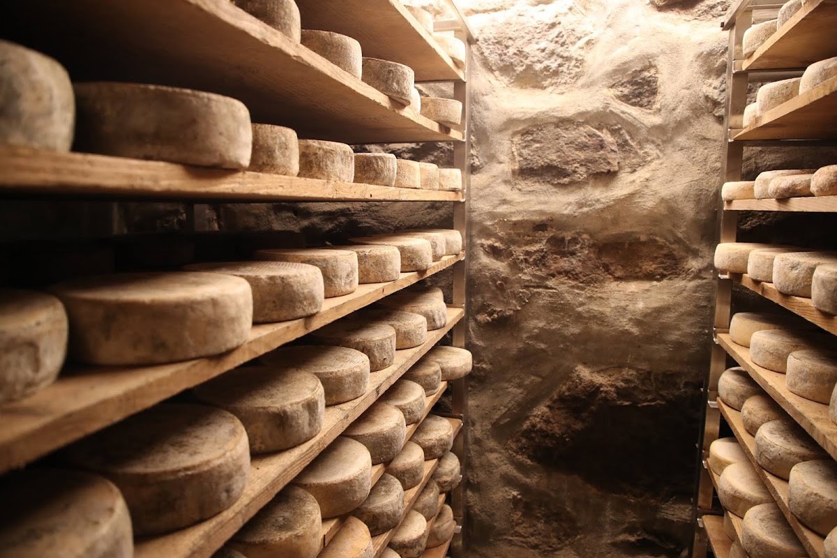 AZIENDA AGRICOLA CERINI — Alloggio a Varallo, Vercelli