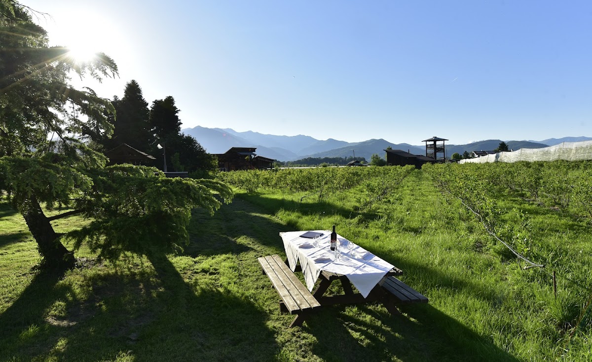 Il Frutto Permesso Soc. Agr. Coop, Agriturismo, Macelleria, Vendita diretta — Alloggio a Saluzzo, Cuneo