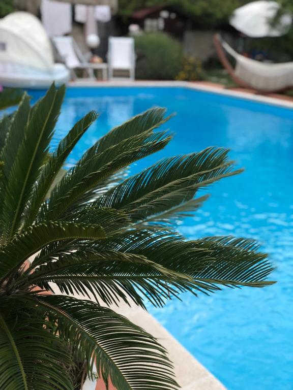 Villa Tropical — Punto di interesse a Pescara, Pescara