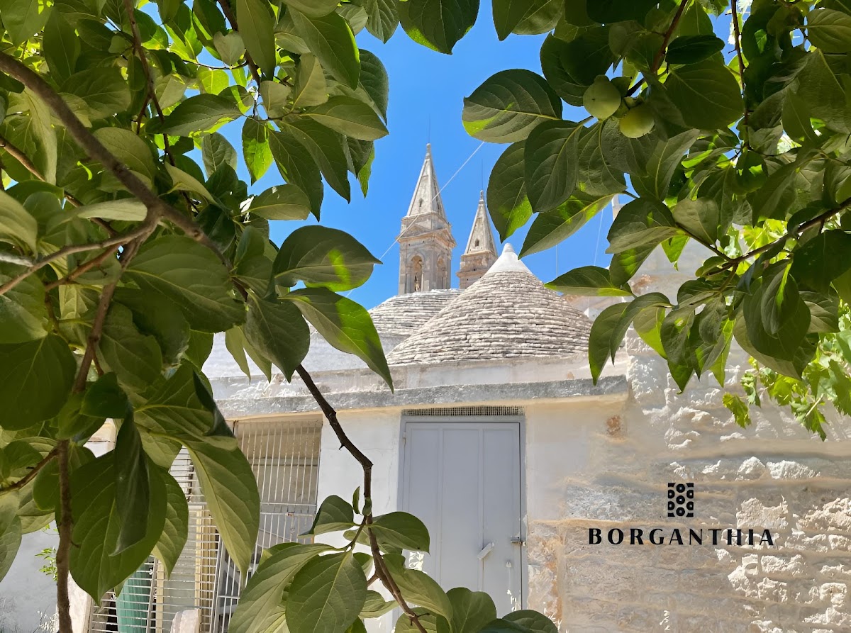 BORGANTHIA - Il Chiostro dei Medici — Alloggio a Alberobello, Bari