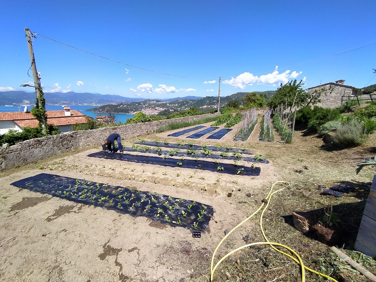 Evergreen — Alloggio a Lerici, La Spezia