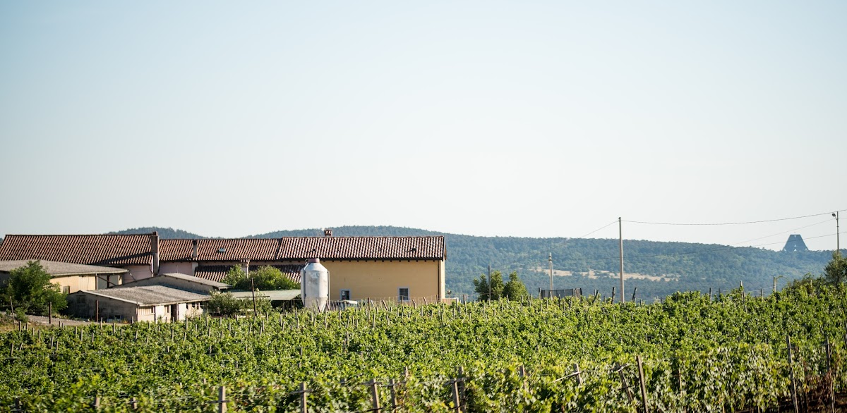 Agriturismo Ostrouska — Alloggio a Trieste, Trieste