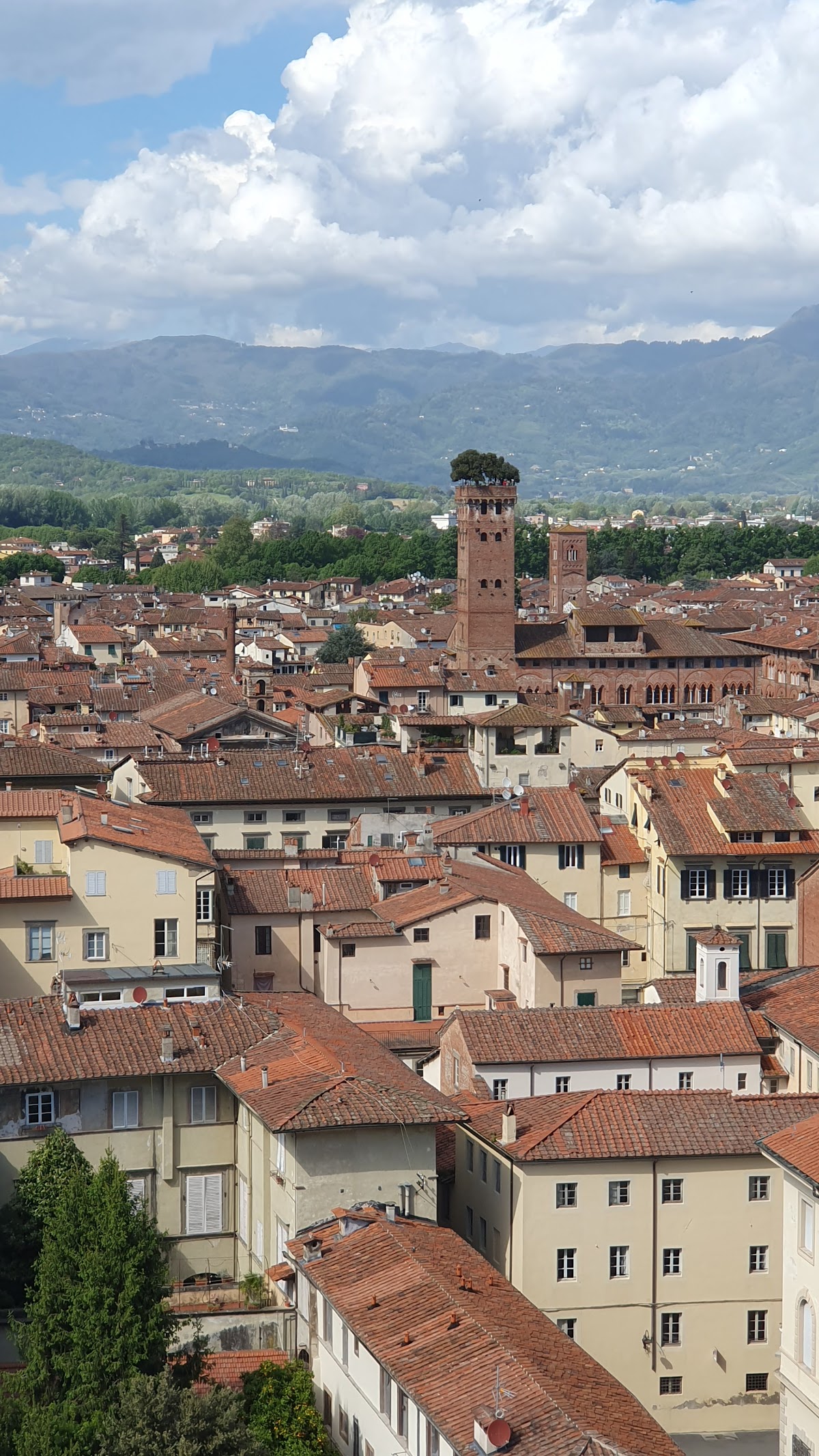 B&B Antico Cancello Lucca Centro — Alloggio a Lucca, Lucca
