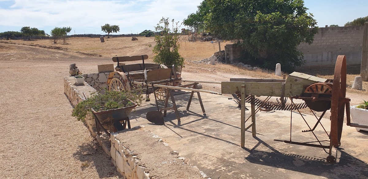 Masseria il Vignale — Alloggio a Ostuni, Brindisi