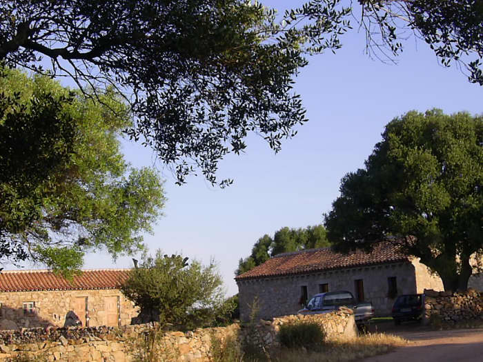 Agriturismo Spridda di Muzzu Pier Paolo — Alloggio a Olbia, Sassari