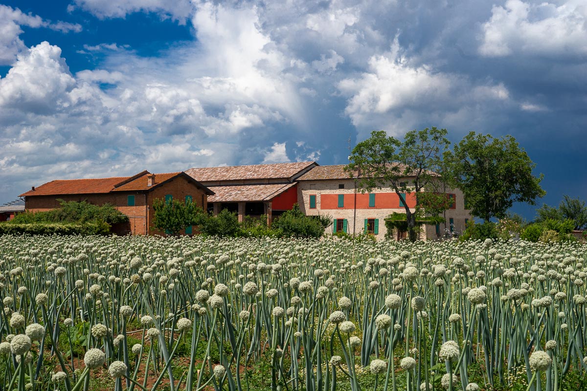 Agriturismo Casarossa — Alloggio a Parma, Parma