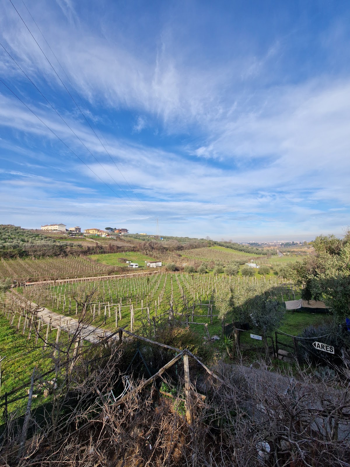 Poggio agli Ulivi — Alloggio a Frascati, Roma