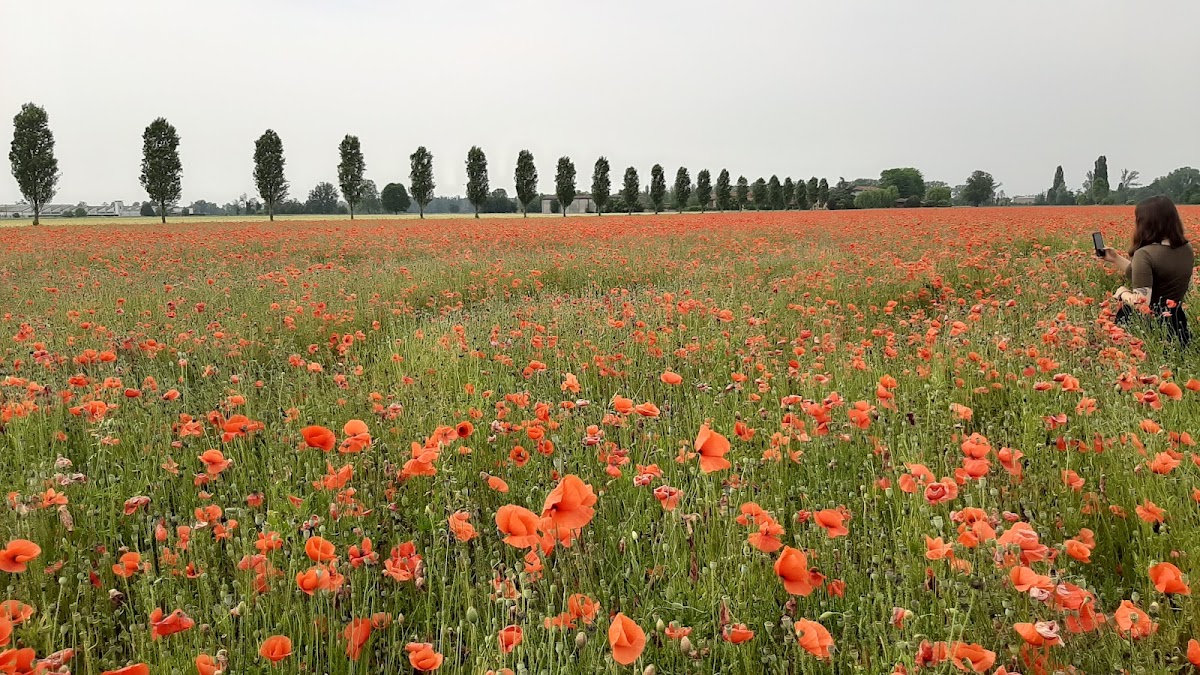 A Ruota Libera - Agriturismo Fattoria Didattica — Alloggio a Milano, Milano