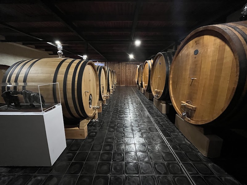 Michele Chiarlo Azienda Vitivinicola — Alloggio a Nizza Monferrato, Asti