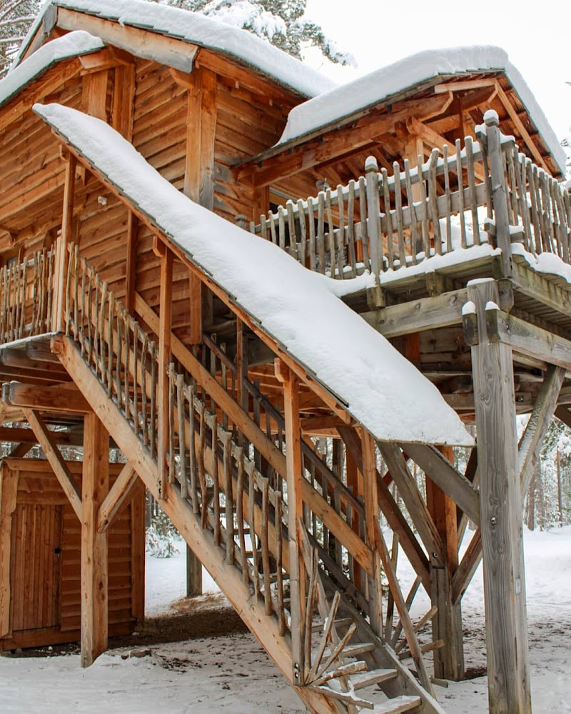 Camping du Bois des Alberts