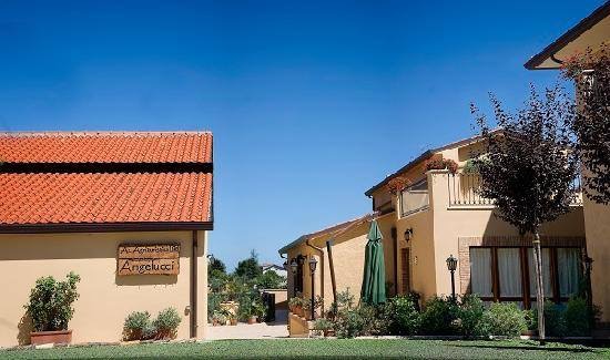 Agriturismo Angelucci, AgriCamping, Noleggio E-Bike — Alloggio a Lanciano, Chieti