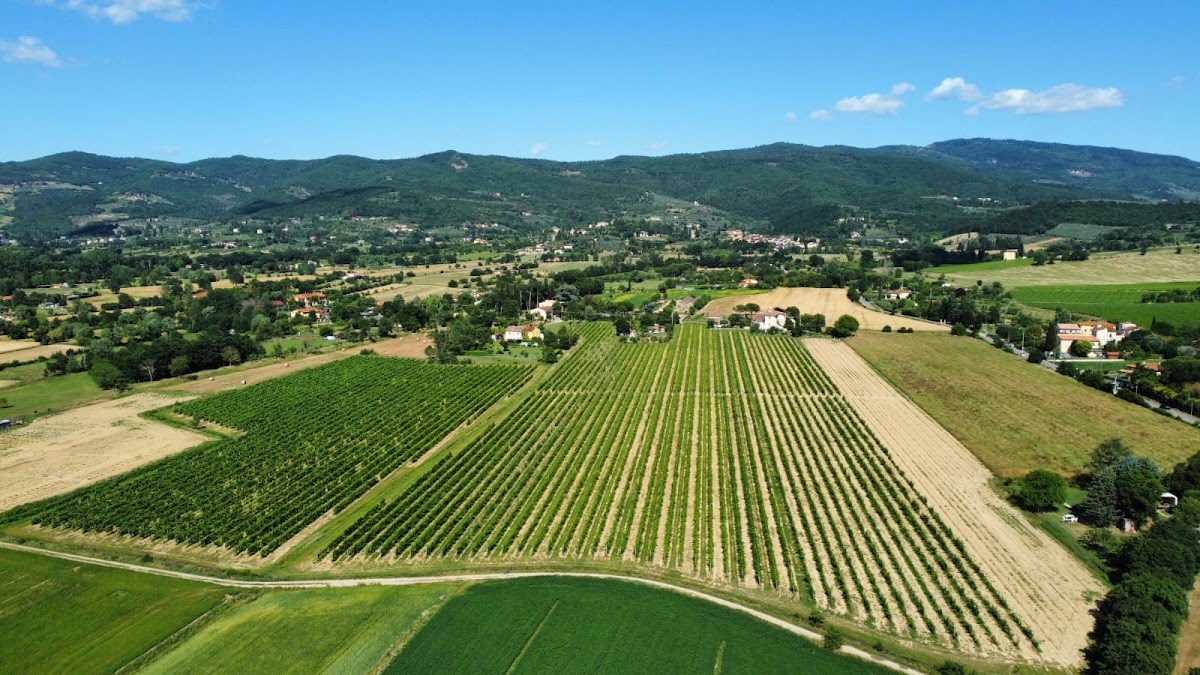 Tenuta La Cella — Alloggio a Arezzo, Arezzo