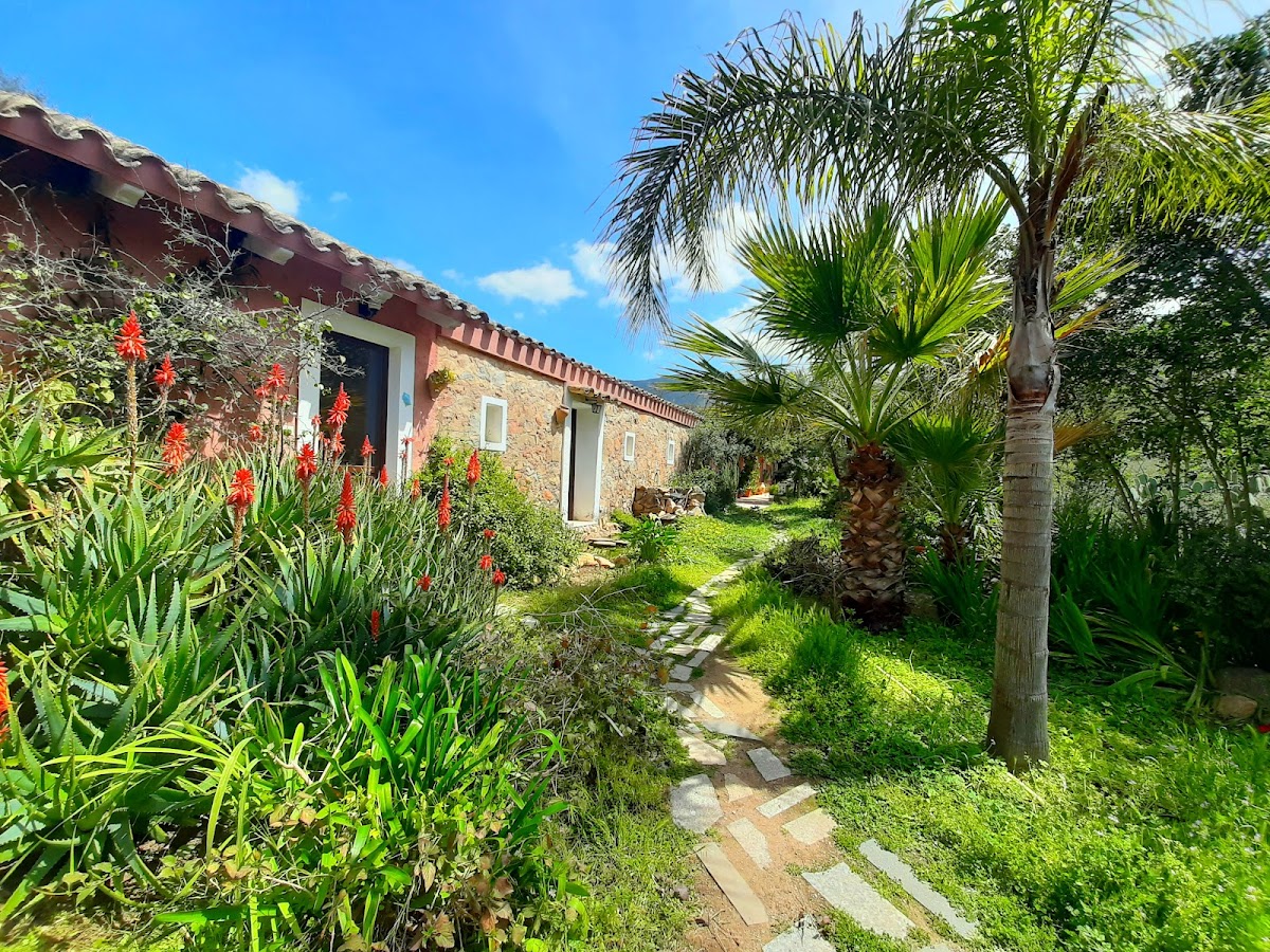 La Fattoria delle Tartarughe - Tortoises Farm Eco&Veg friendly retreat — Alloggio a Cagliari, Cagliari
