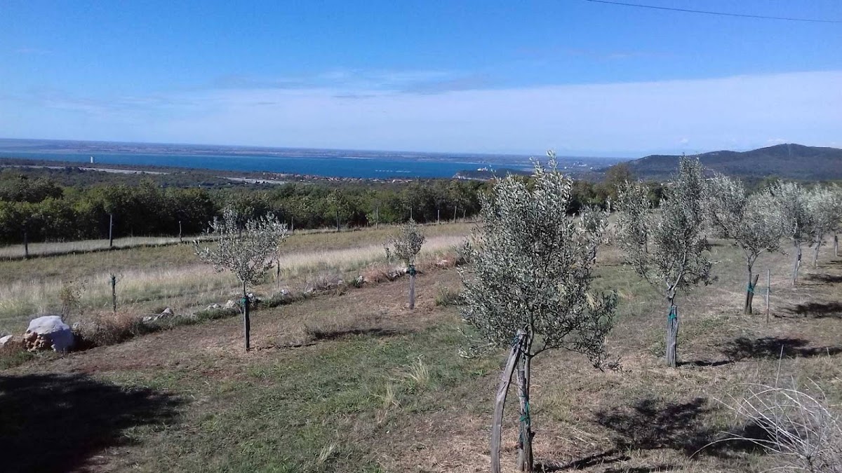 Fattoria didattica Sociale Carli Alen — Alloggio a Trieste, Trieste