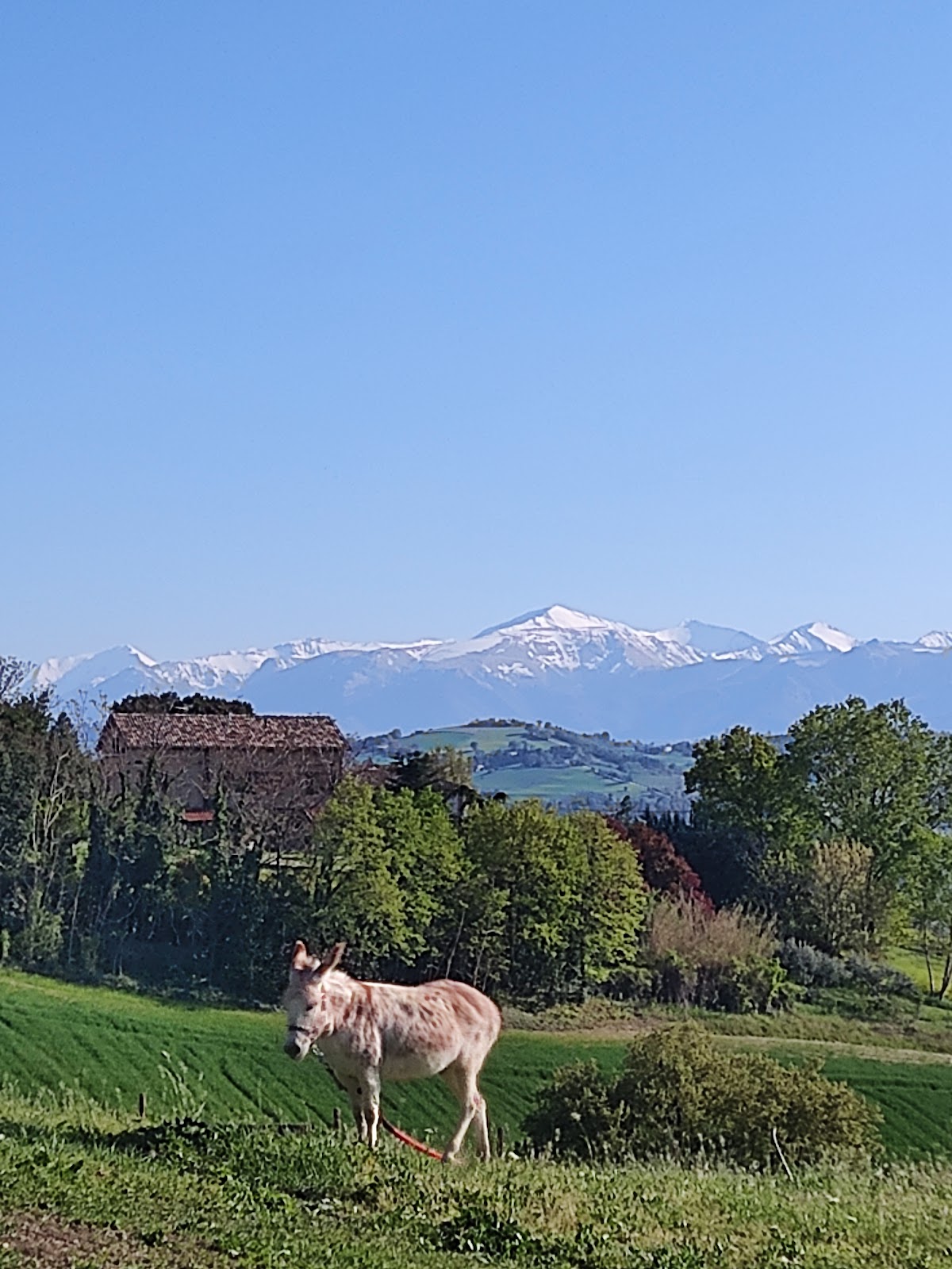 Fattoria della Meraviglia — Alloggio a Macerata, Macerata