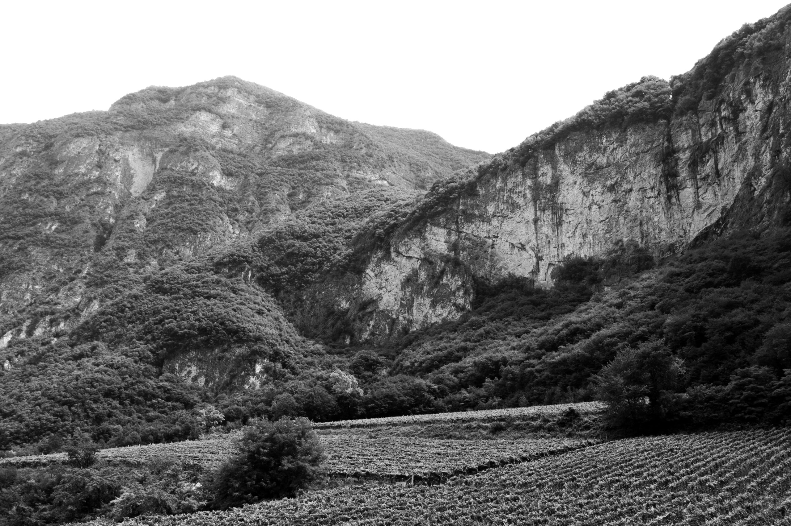 Mas dei Chini — Punto di interesse a Trento, Trento