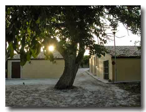Fattoria Agrituristica Biologica "il Gelso" — Alloggio a Noto, Siracusa