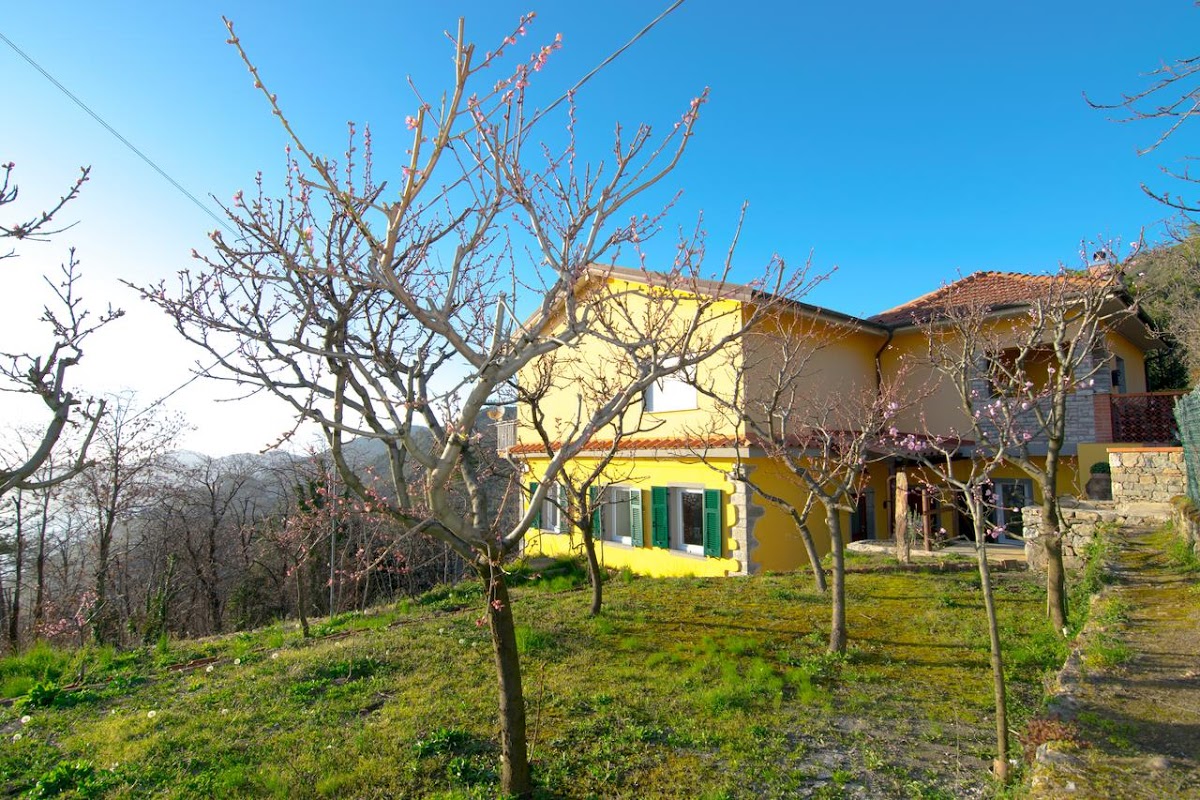 Azienda Agrituristica I TRE GRAPPOLI