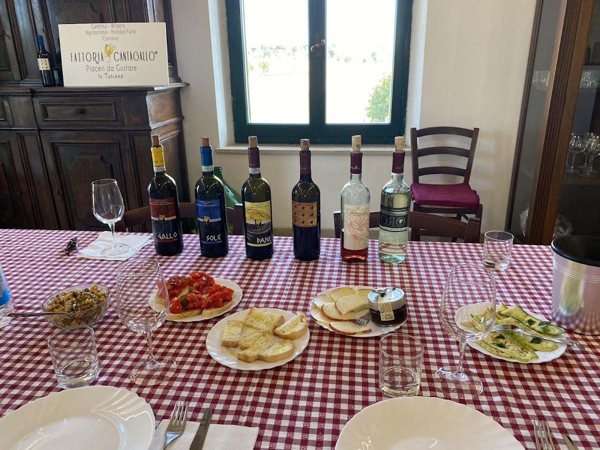 Winery Fattoria Cantagallo — Alloggio a Cortona, Arezzo