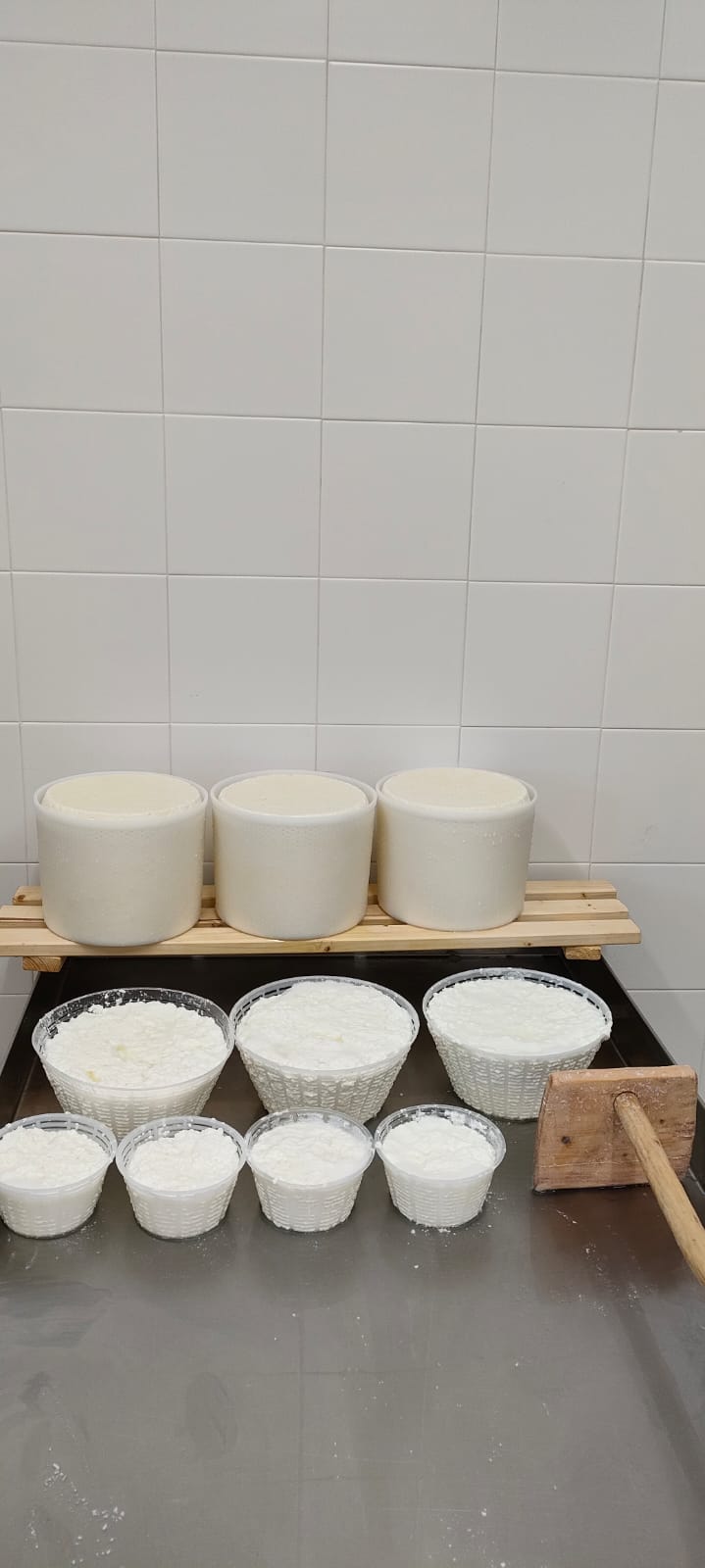 Azienda agricola Antica Caresi