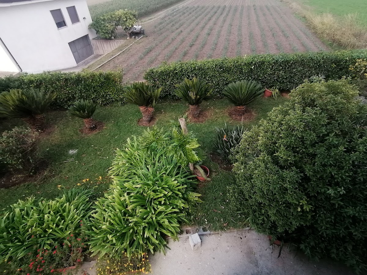 B&b Cilento Paestum — Alloggio a Paestum, Salerno