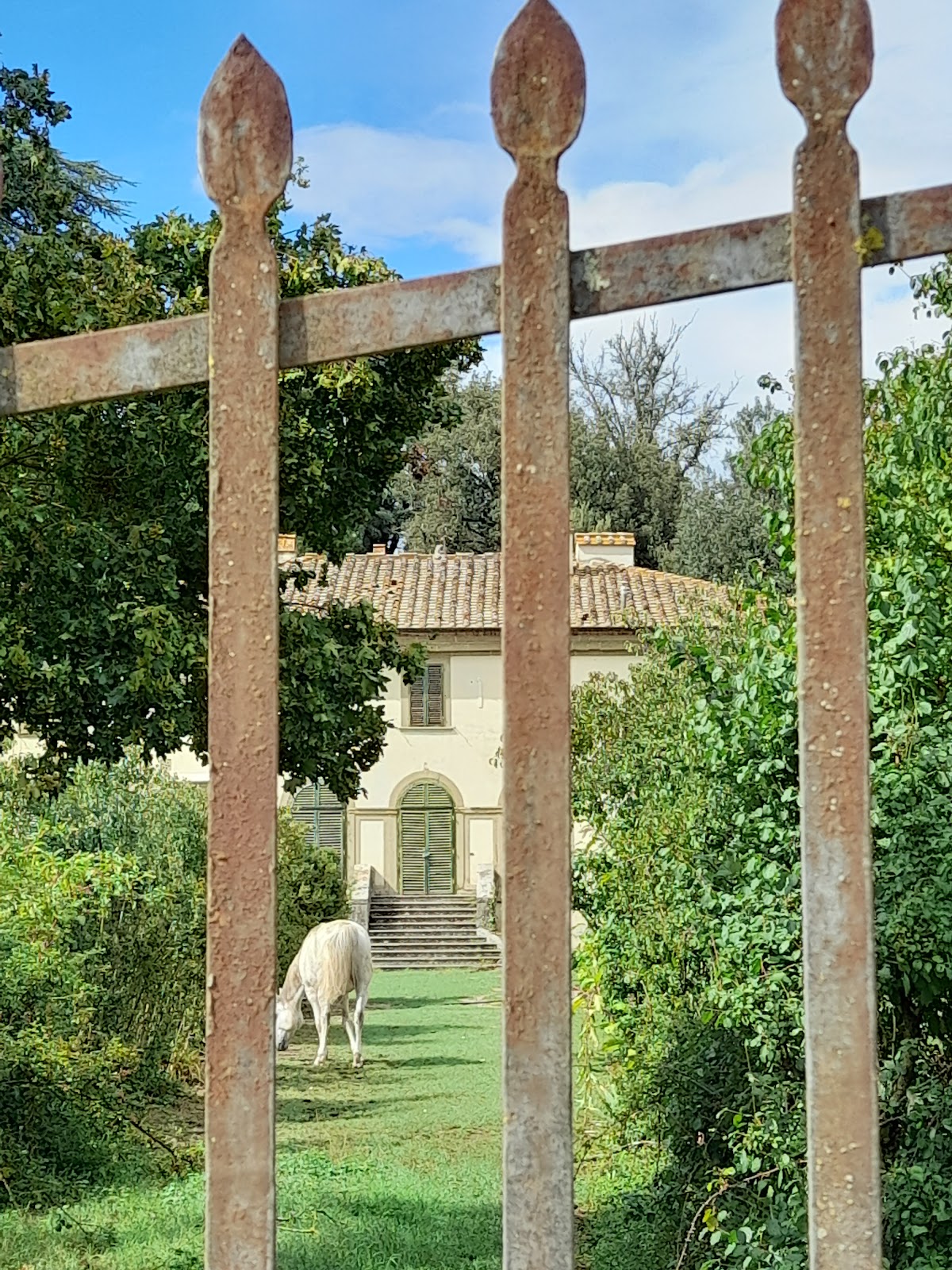 Fattoria Isola - Maneggio con Piscina — Alloggio a Arezzo, Arezzo
