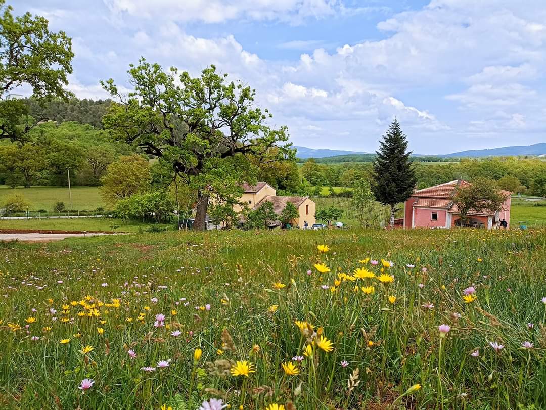 Azienda "Mea Terra" — Alloggio a Maratea, Potenza