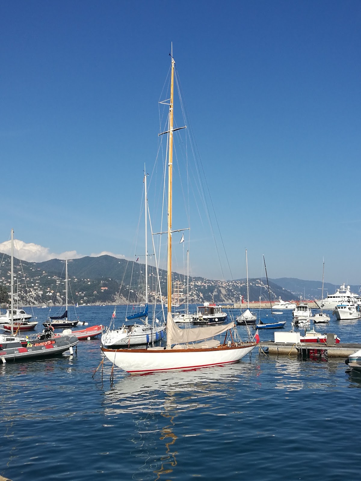 Agriturismo Oasi del Tigullio — Alloggio a Portofino, Genova