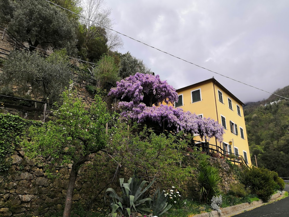 Agriturismo il sogno — Alloggio a Camogli, Genova