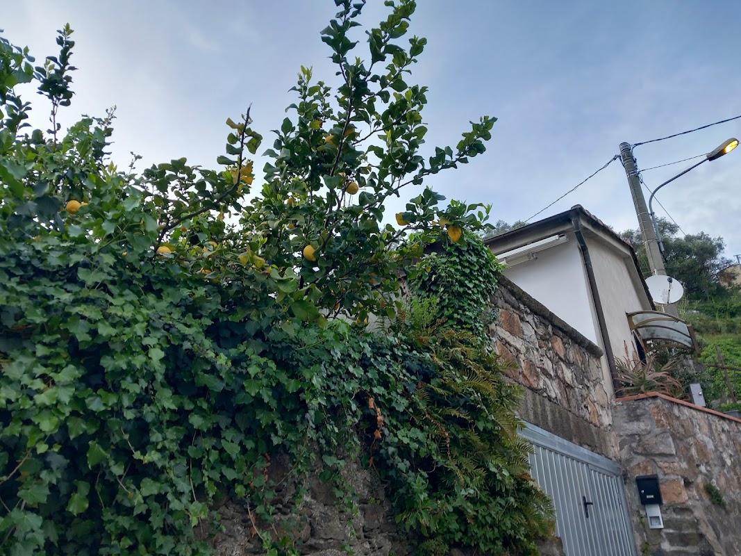 Affittacamere Al Frantoio Monterosso