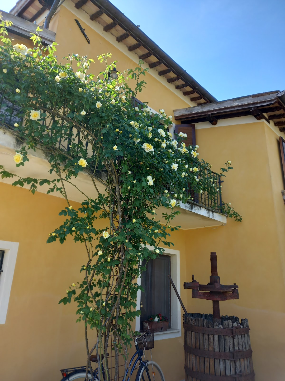 Agriturismo Stovali Da Lustrinu — Alloggio a Spoleto, Perugia