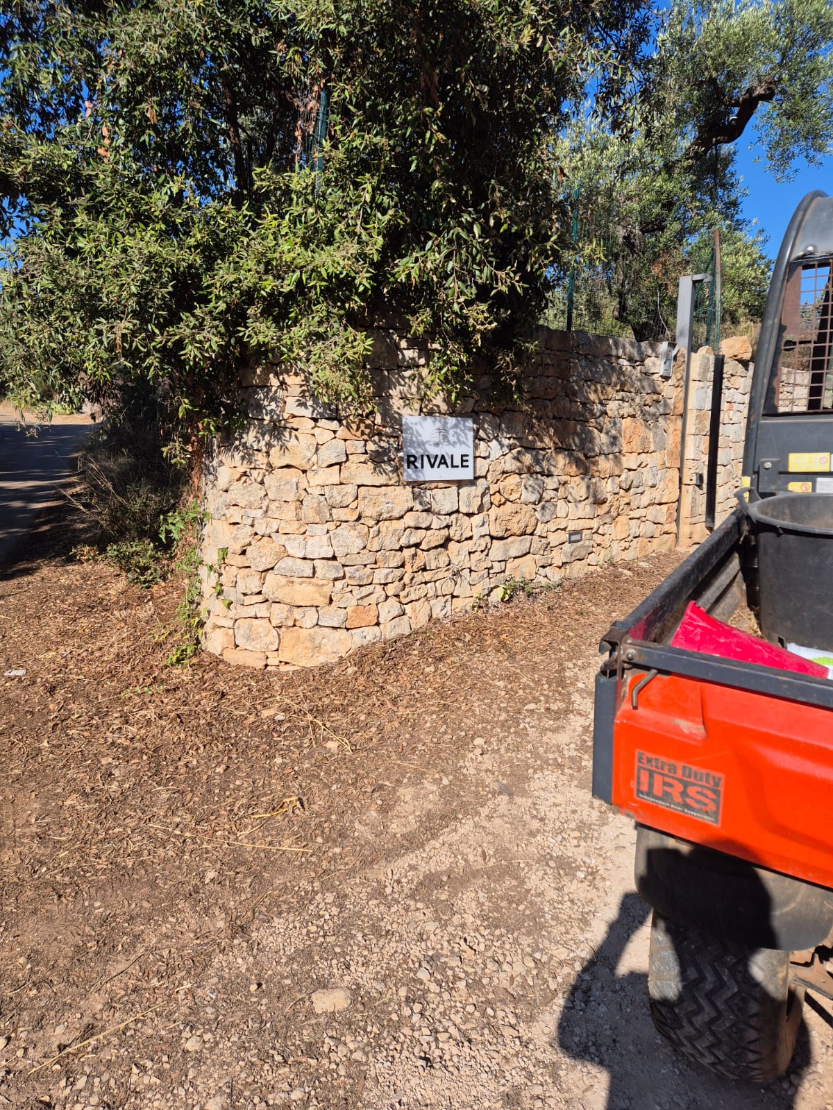 Azienda agricola Rivale — Alloggio a Polignano a Mare, Bari