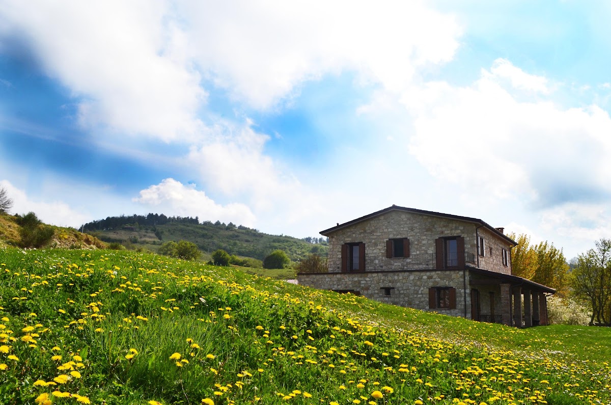 Agriturismo e Fattoria Biologica L'A Ceccoli