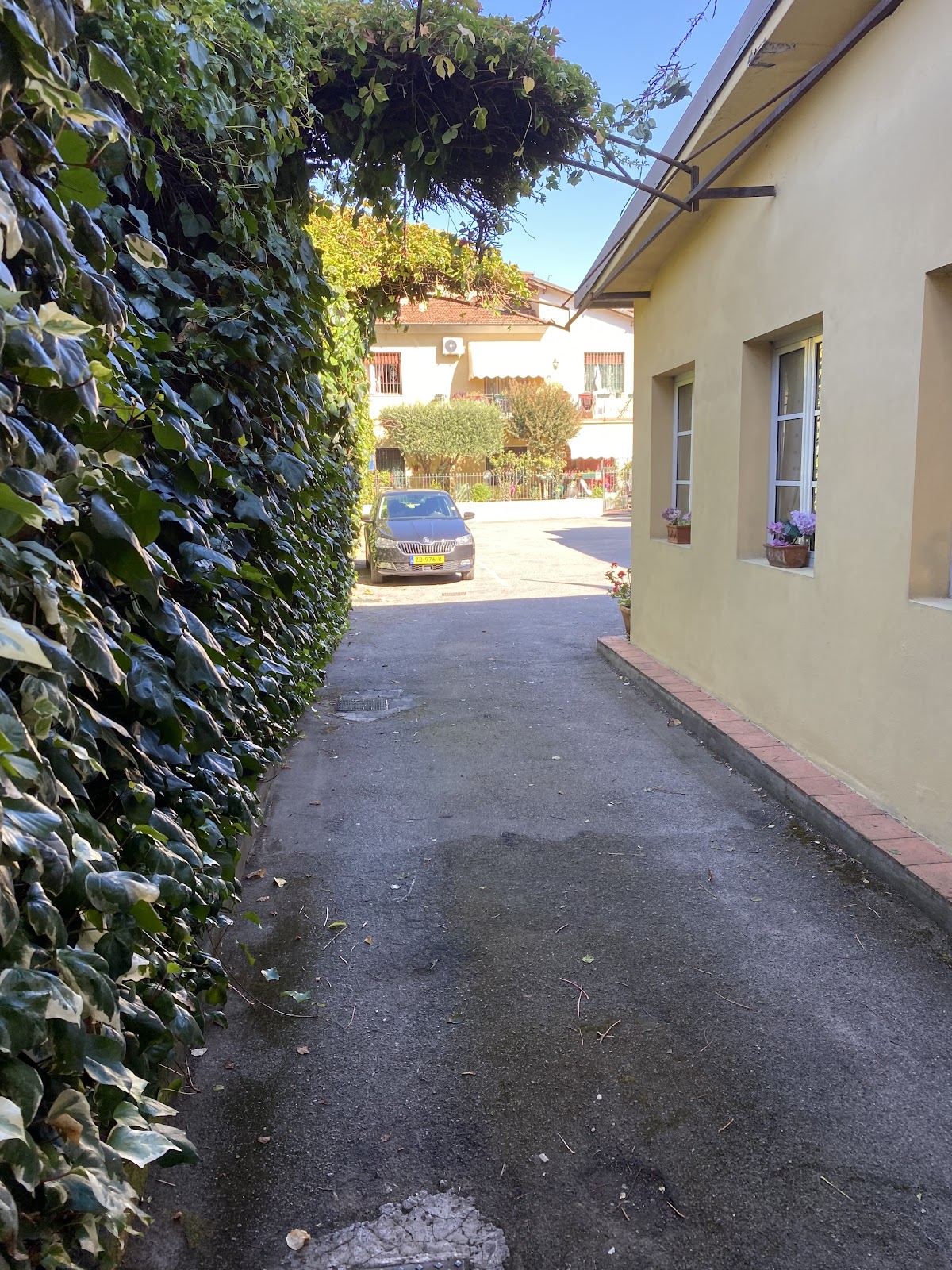 Hotel Melecchi Sas Di Clocchiatti Marino E C. — Alloggio a Lucca, Lucca