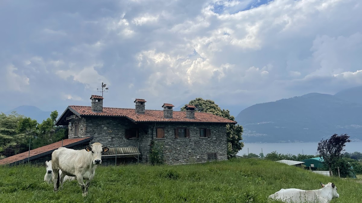La vecchia fattoria Azienda Agricola — Alloggio a Varenna, Lecco