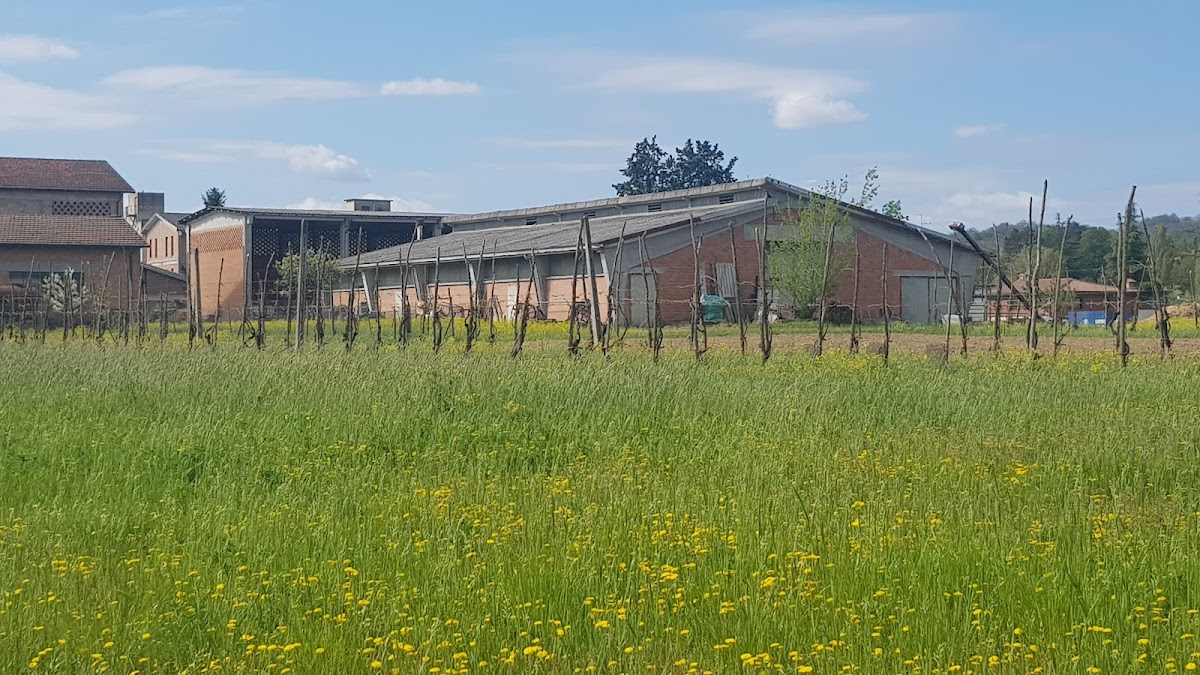 Agriturismo Leoni — Alloggio a Parma, Parma