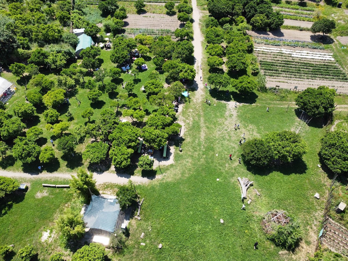 Il Giardino dell'Orco — Alloggio a Napoli, Napoli