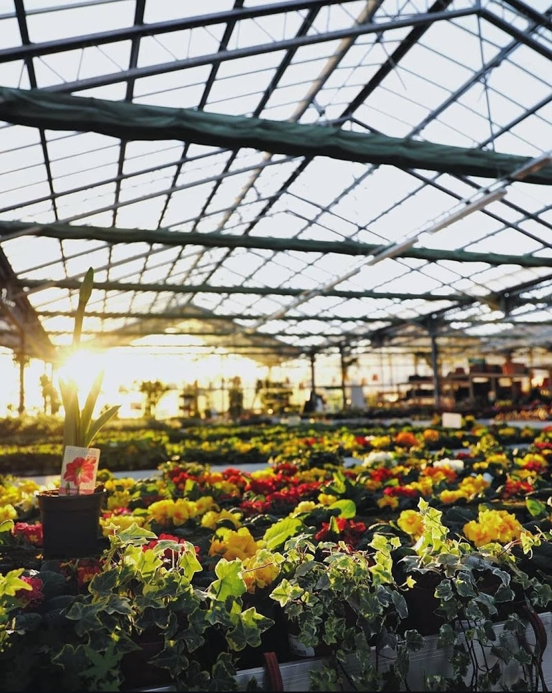 Florama Garden — Alloggio a Biella, Biella