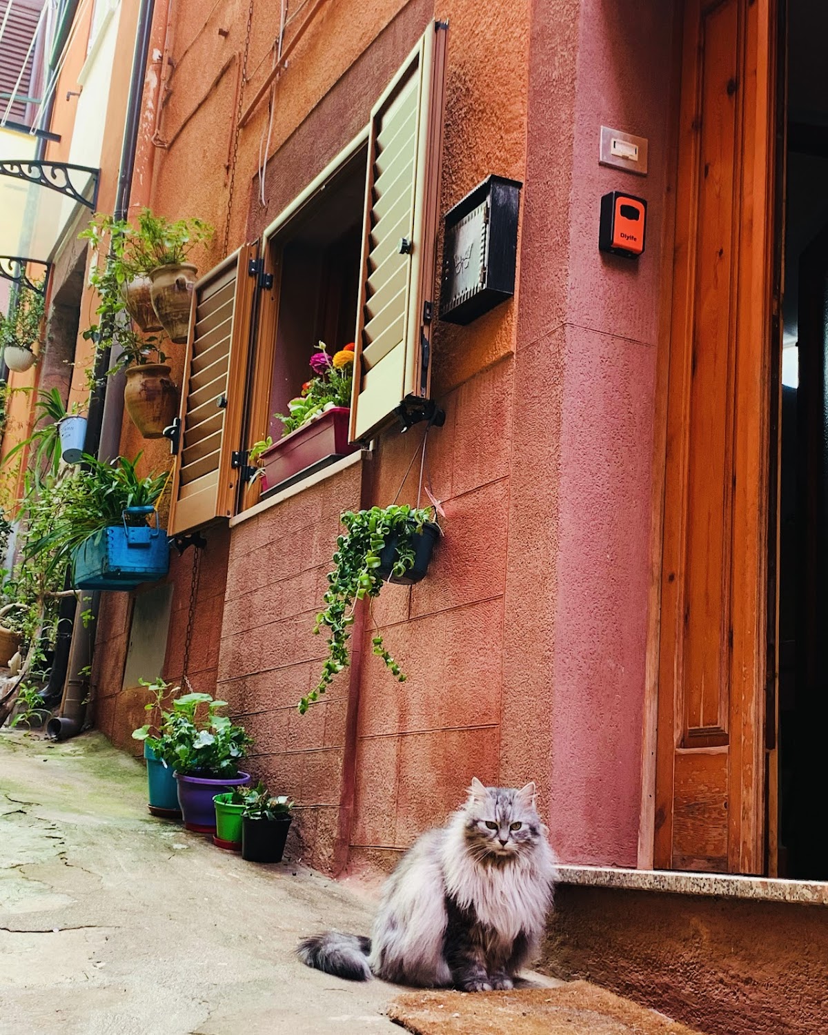 Guest house Da Ida affitto breve Bosa — Alloggio a Bosa, Oristano