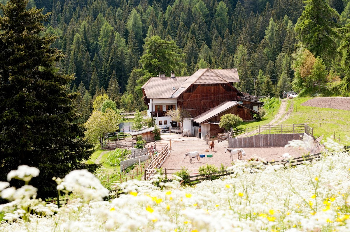 Agriturismo Flachenhof — Alloggio a Bolzano, Bolzano